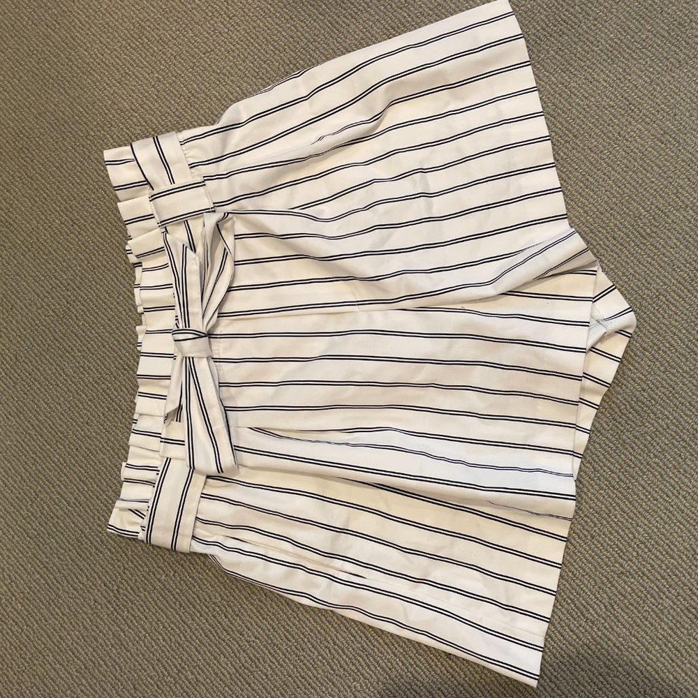 Zara TRF Shorts- Black Stripe Paperbag Waist Boho Pockets
